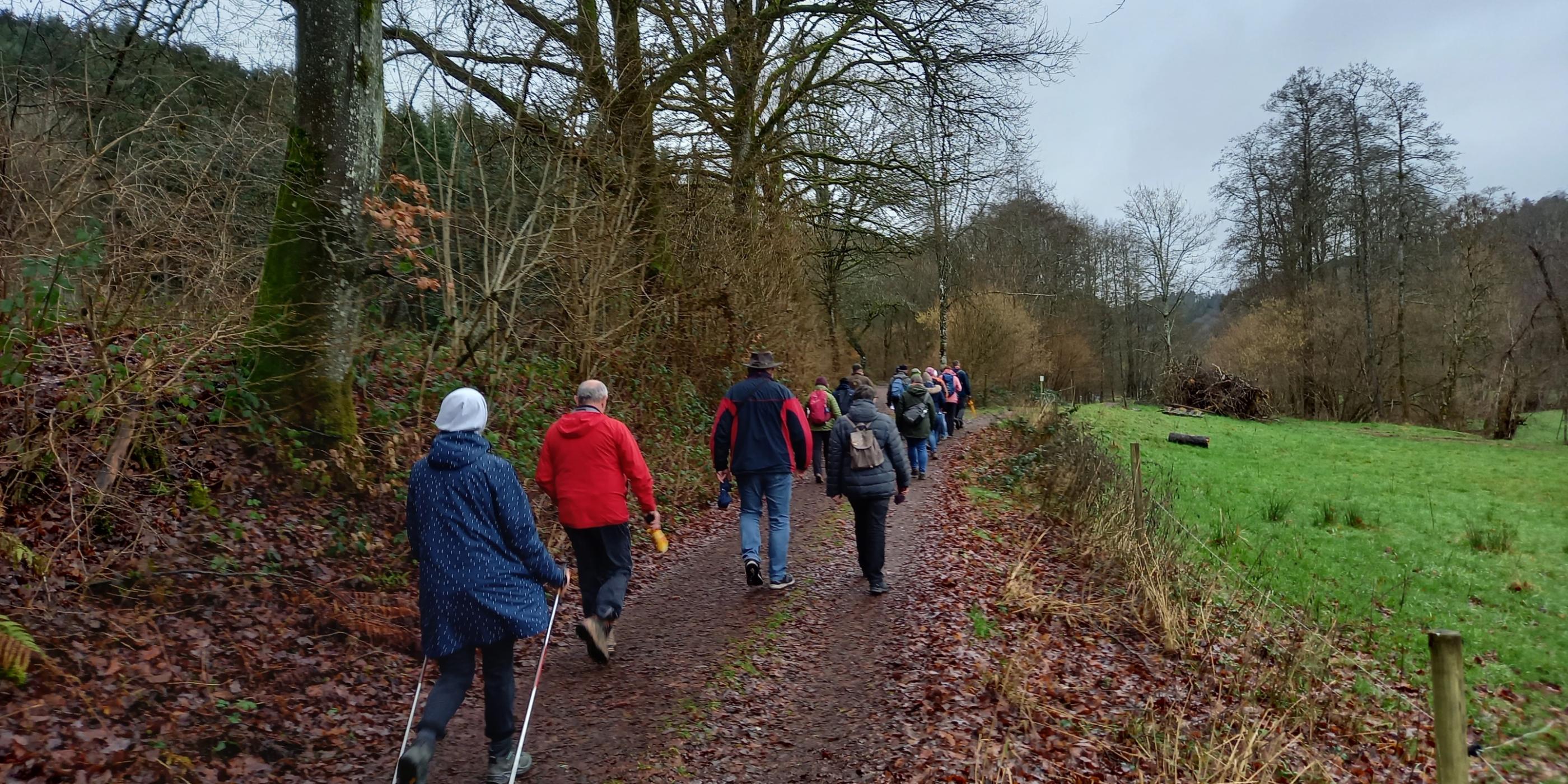 Eine Gruppen von Frauen und Männer pilgert durch einen Waldweg.